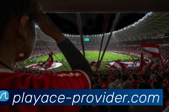 多媒体互动体验