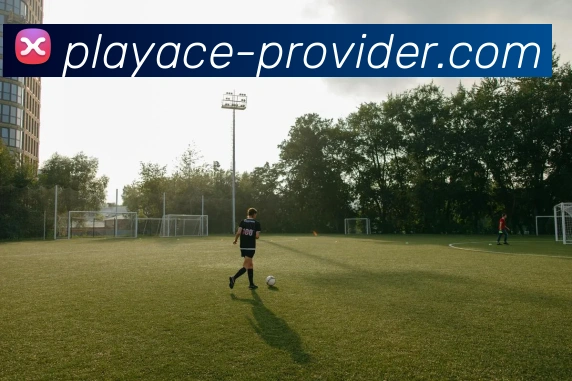 PA电子官网APP 高清赛事图